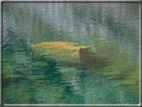 foto Lago di San Pancrazio